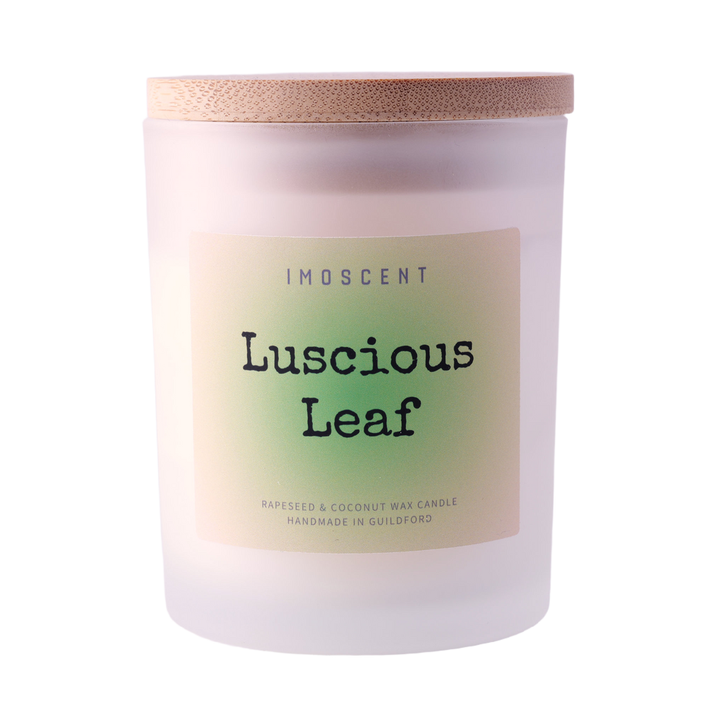 Luscious Leaf Scented Candle | Green leaves + Lavender + Wood